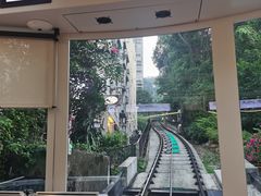 -太平山顶