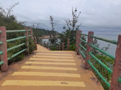 -广东惠东海龟国家级自然保护区