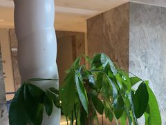 -Y60-SKYLINE天际江景酒店(五一广场店)