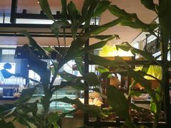 -大头椰·椰子鸡火锅(南宁万象城店)