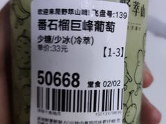 -野萃山·潮汕厚果汁(十亩地店)