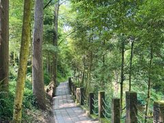 -凤栖山