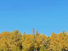 -北坞公园