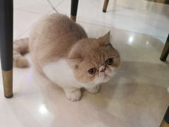 -老虎滩船说·大连海鲜(老虎滩店)