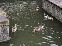 -浙江省博物馆(孤山馆区)