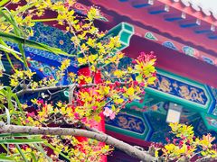 -黔灵山公园