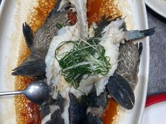 -阿拉斯加·海货(马王堆店)