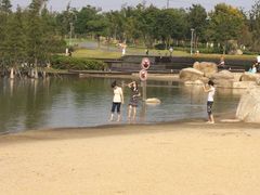 -暨阳湖生态园