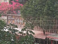 -小鲜肉延边朝鲜族烤串(珠海店)