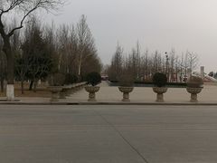 -石家庄市植物园
