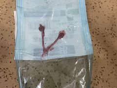 -伟伟宠物医院·CT影像中心·瑞派犬猫综合性门诊(汉口总院)