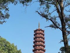 -大雁山风景区