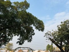 -长洲岛都市农业公园