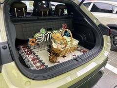-上海浦东smart汽车全功能店(金桥店)