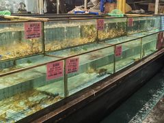 -荔城生鲜盛宴(番禺旗舰店)