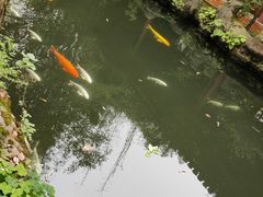 -大白象口腔连锁·矫正·种植中心(玺悦城店)