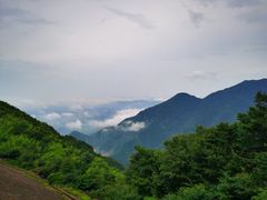 -江南天池