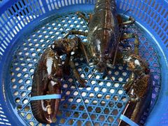 -渔民船说·北塘海鲜·天津菜·海肠捞饭(北塘古镇店)
