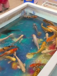 -奇异果(路劲世界广场店)