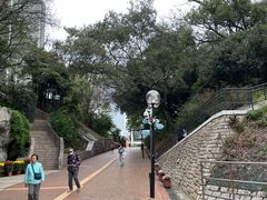 -九龙公园