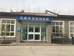 iphone_upload_pic-美联众合动物医院·内科·皮肤科·外科(古城分院)