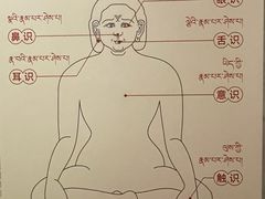 -青海藏文化博物院