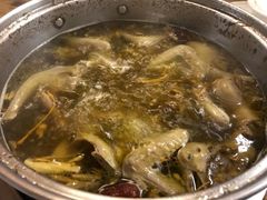 -百利鸽王(紫薇路店)