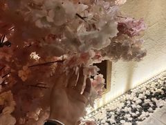 -三月居酒屋(青年大街店)