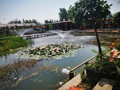 -同銮特种养殖场·龙虾垂钓