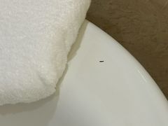 -深圳星河丽思卡尔顿酒店