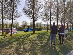 -羊亭河湿地公园