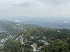 -南山植物园