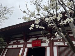 -华清宫景区