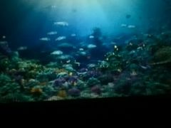 -橙天嘉禾影城(苏州印象城店)