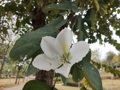 -中国移动南方基地