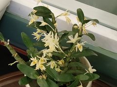 -南堂馆·新川菜(春熙路店)