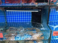 -涌觅名灶·本地海鲜宁波菜(财富广场店)