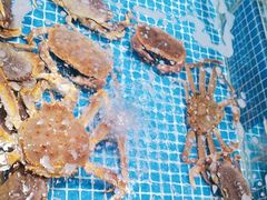 -名人名家     浙菜.家宴