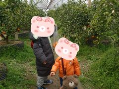 -前小桔亲子创意农场·草莓采摘·露营烧烤