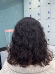 -YESIDO椰岛造型