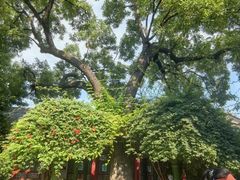 -关中书院