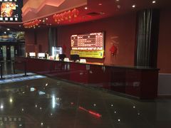 -大地影院(宁波培罗成店)