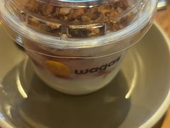 -Wagas沃歌斯(汇智店)