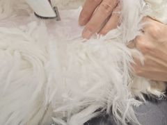 -伟伟宠物医院·瑞派猫友好医院·猫科(光谷店)