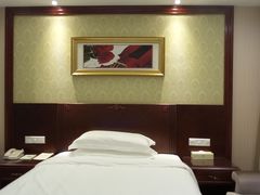 32-维也纳国际酒店·深圳北站店