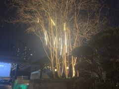 -浅深Cheersum(曹杨店)