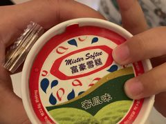 -富豪雪糕车流动点(尖沙咀店)