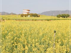 -光明小镇欢乐田园