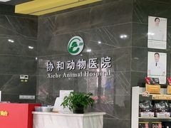 -瑞鹏瑞爱宠物医院·全科·猫科·血液透析中心(龙头寺店)