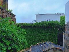 -东极岛景区